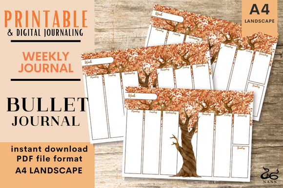 Weekly Bullet Journal: A Practical Review for Planners and Journal Users